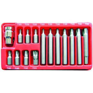 BIT SET 15PCS MAG