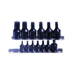 BIT SET TORQUE 15PCS 3/8In &1/4In