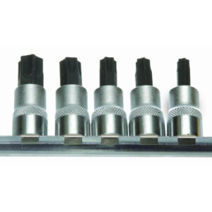 BIT SET TORQUE SKT 3/8In DR 5PCS