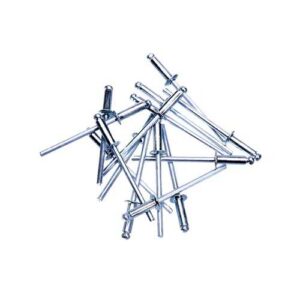RIVETS ASST 100PCS 3.2X12MM